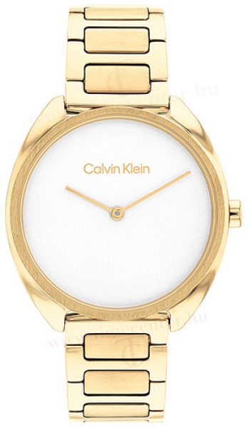 Calvin Klein CK25200276 karóra